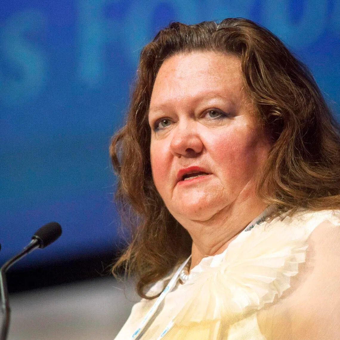 Ms Gina Rinehart, Australia's richest person, made her wealth from Australia's mining boom as China's demand for steel-making iron ore soared.