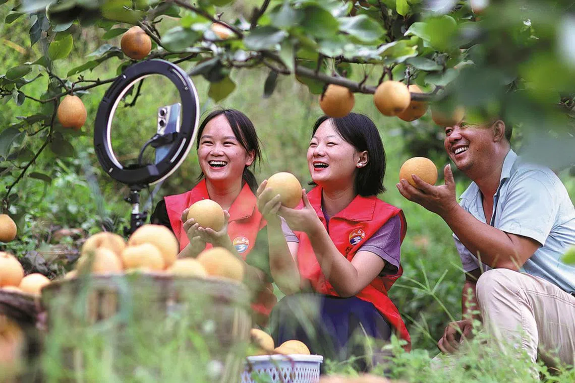 Assisted by better telecommunication infrastructure in once-isolated hamlets and cheaper courier services, the farmers-turned-hosts bypass middlemen to pitch their agricultural products directly to deep-pocketed customers thousands of kilometers away.