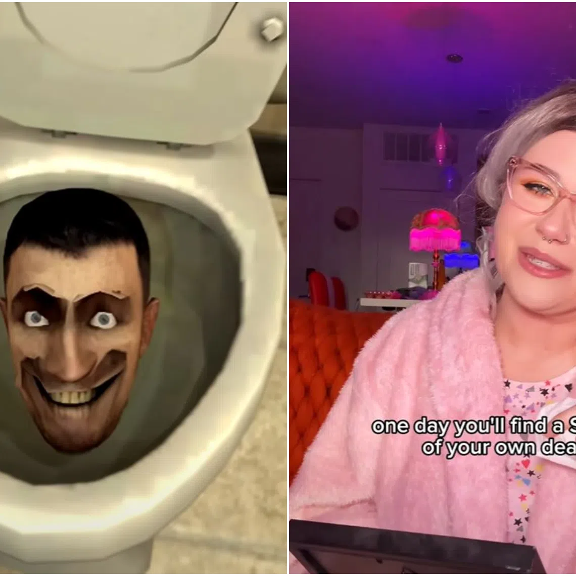 The Gen Z and Alpha slang term "skibidi" is derived from the YouTube machinima web series Skibidi Toilet, while the label "sigma" refers to independent men.