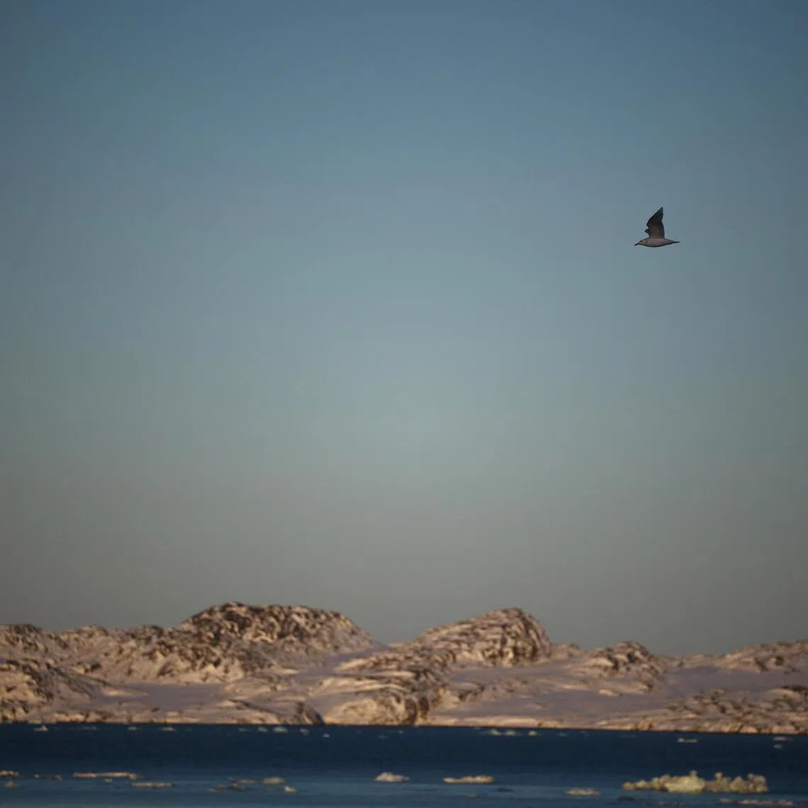Denmark has pledged to spend an additional 42 billion kroner (S$8.35 billion) to protect the vast Arctic territory.