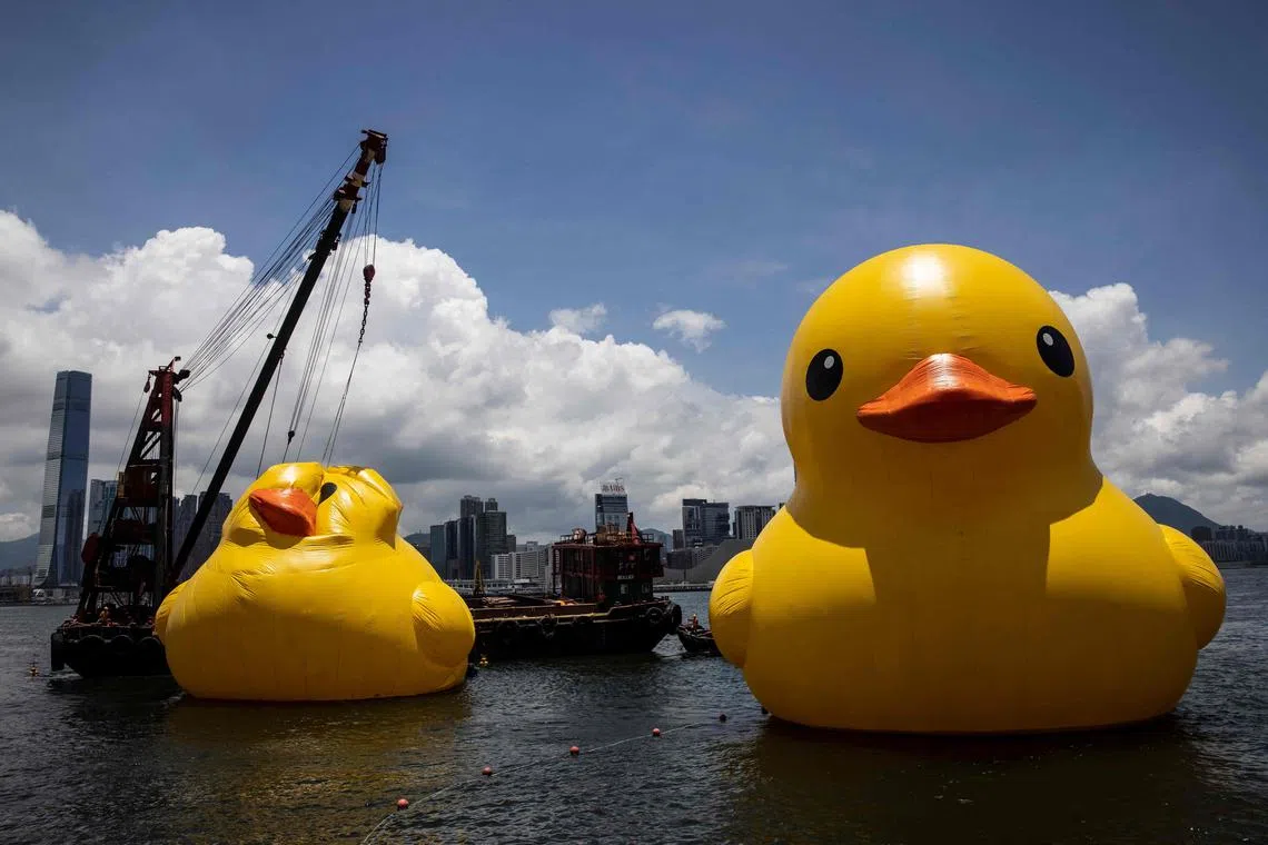 One of two large inflatable yellow ducks named “Double Ducks” by Dutch artist Florentijn Hofman was reinflated (L) at Victoria Harbour in Hong Kong on June 12, 2023, after it was deflated on June 10 to protect it from the summer heat, one day after the official launch of the art installation. 