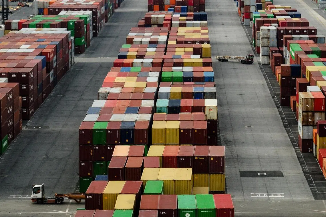 OECD predicted the pace of global expansion to slow to 3.1 per cent in 2024 and said nations currently in the eye of the trade storm may see even sharper decelerations.