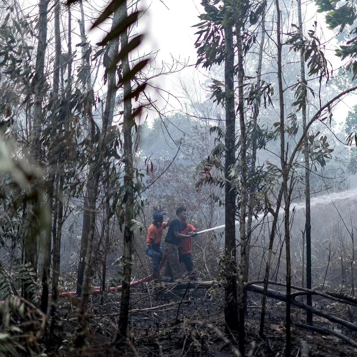 Firefighters working to extinguish a peatland fire in Pengerang on Jan 26.