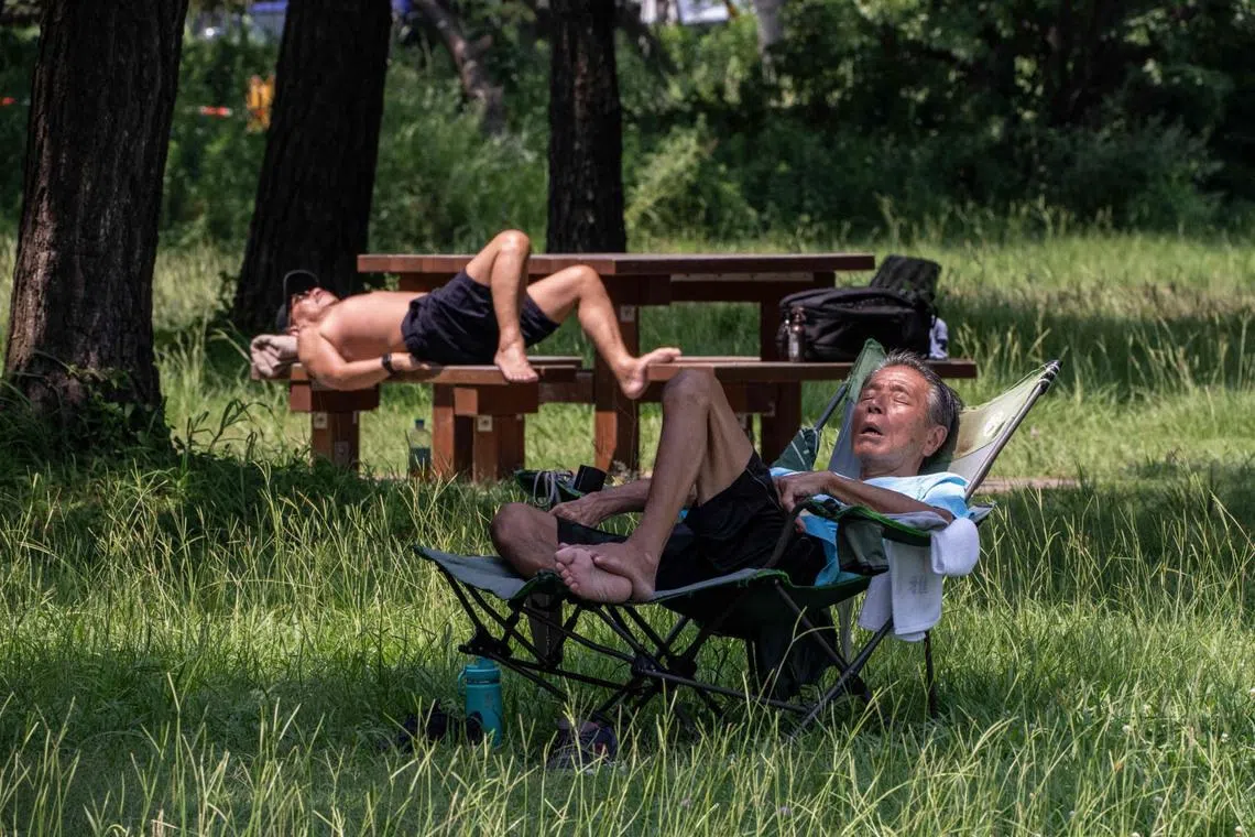 TOPSHOT - People rest at a park on a hot day in Tokyo on July 22, 2026. (Photo by Yuichi YAMAZAKI / AFP)