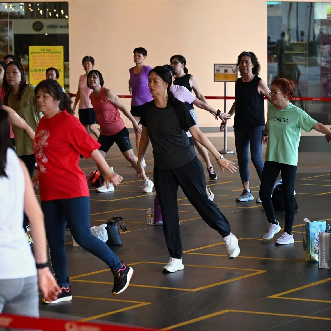The programme aims to develop approaches and interventions that can help reduce the onset or progression of cognitive impairment and decline in physical function.