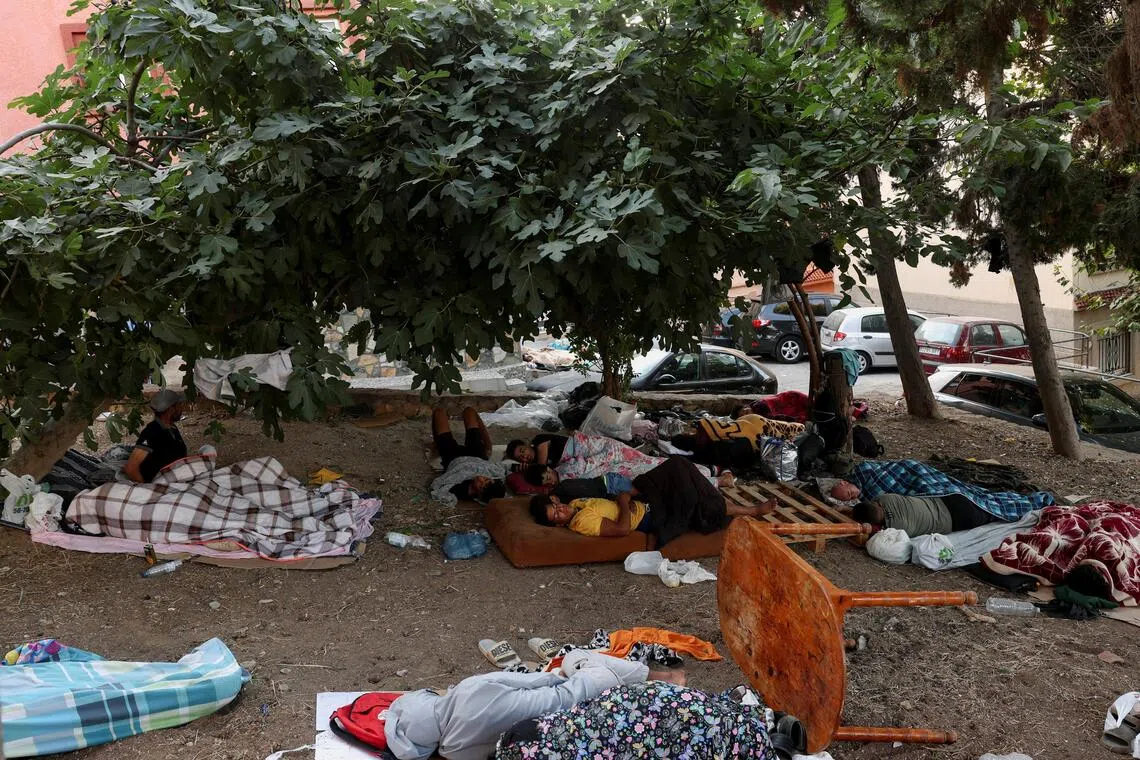 A group of people resting on the ground under a large tree.