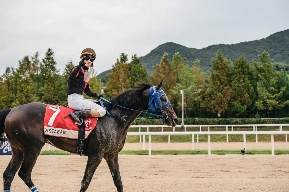 Diktaean - Diktaean

PHOTO:  KOREA RACING AUTHORITY