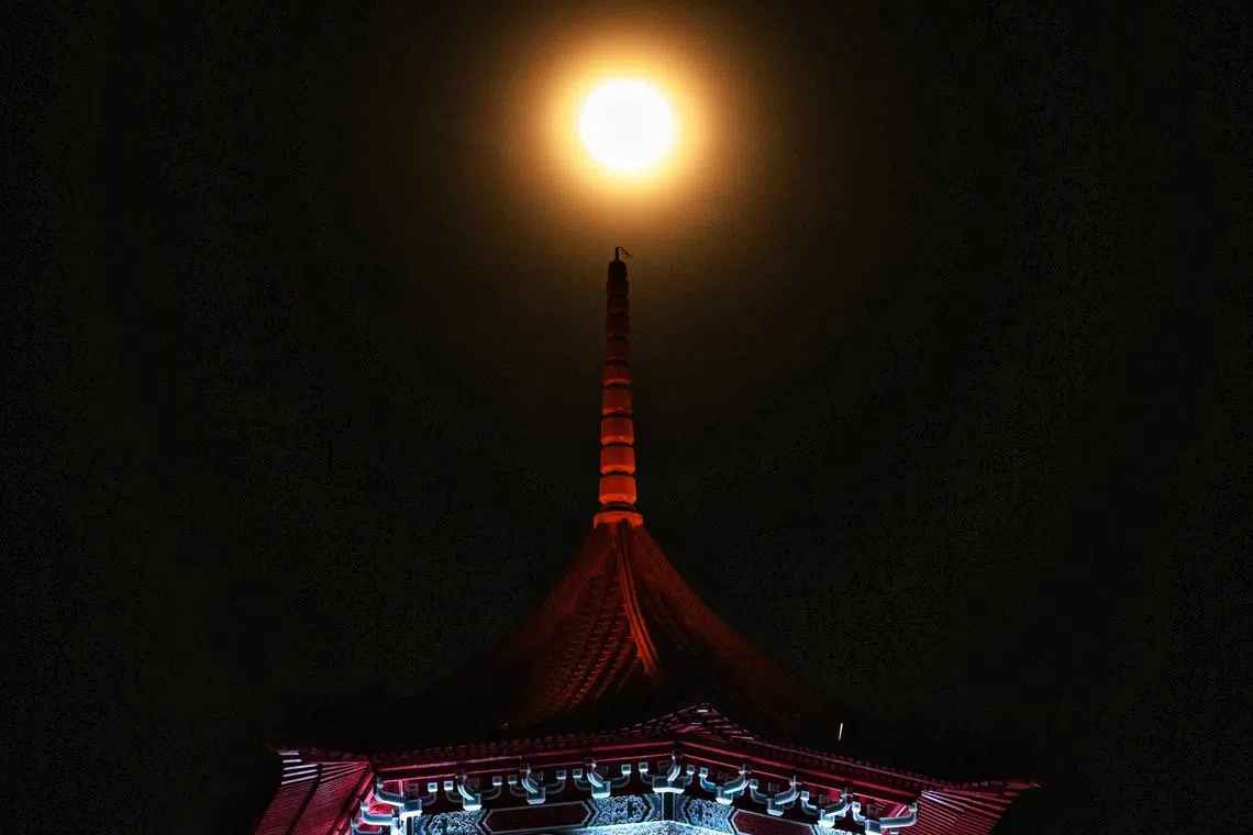 The Harvest Moon rising behind a pagoda at Chinese Garden, on Sep 18, 2024.