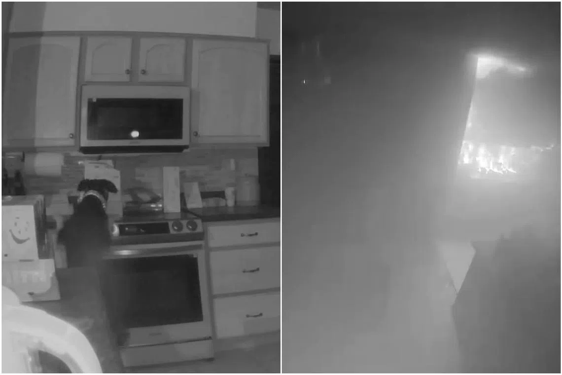 Firefighters were dispatched to the affected house after the homeowners reported a “fire on the stove” in their home. 