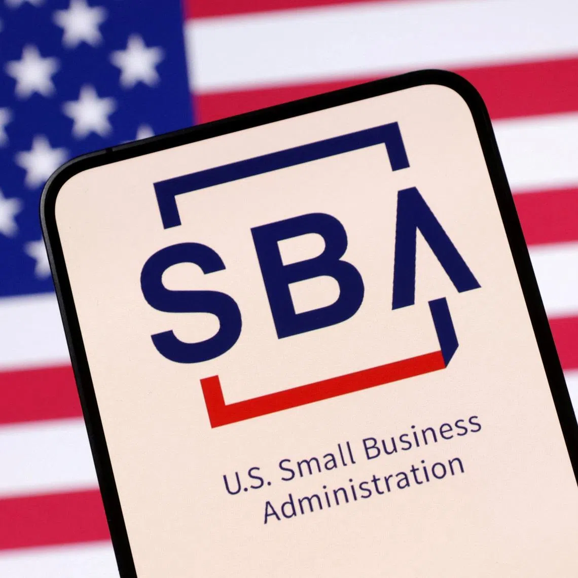 United States Small Business Administration logo and U.S. flag are seen in this illustration taken April 23, 2025. REUTERS/Dado Ruvic/Illustration
