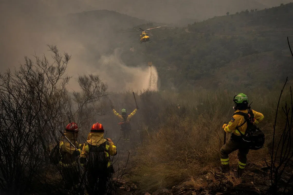 FILE PHOTO: A helicopter from the Marroxo Brigade of Monforte de Lemos, makes a water drop directed by the group leader of BRICA (Special Reinforcement Brigade for Wildfires in Andalusia) from Granada, over a wildfire in Larouco, Lugo area, Galicia region, Spain, August 17, 2025. REUTERS/Mikel Konate//File Photo