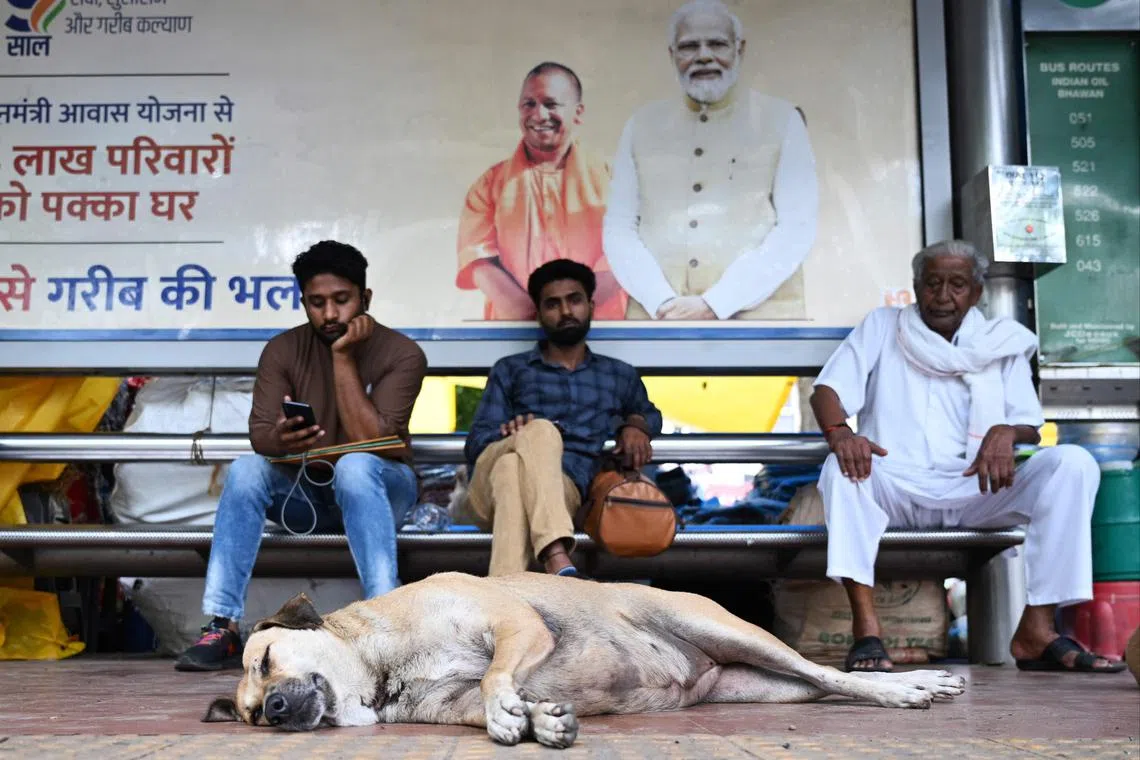 A street dog takes a nap in front of commuters waiting for their bus at a bus stop in New Delhi on Aug 4, 2023.