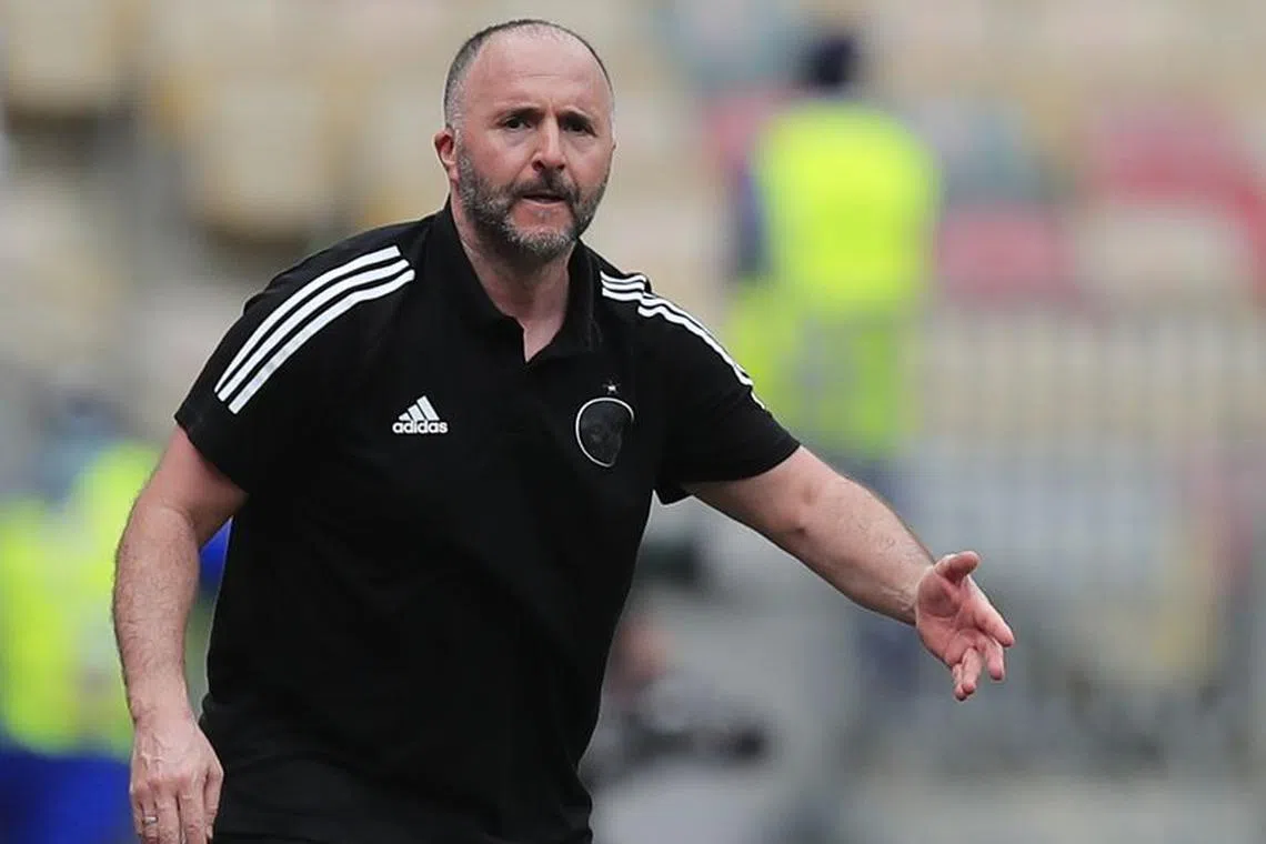 Soccer Football - Africa Cup of Nations - Group E - Algeria v Sierra Leone - Stade de Japoma, Douala, Cameroon - January 11, 2022 Algeria coach Djamel Belmadi REUTERS/Thaier Al-Sudani/File Photo