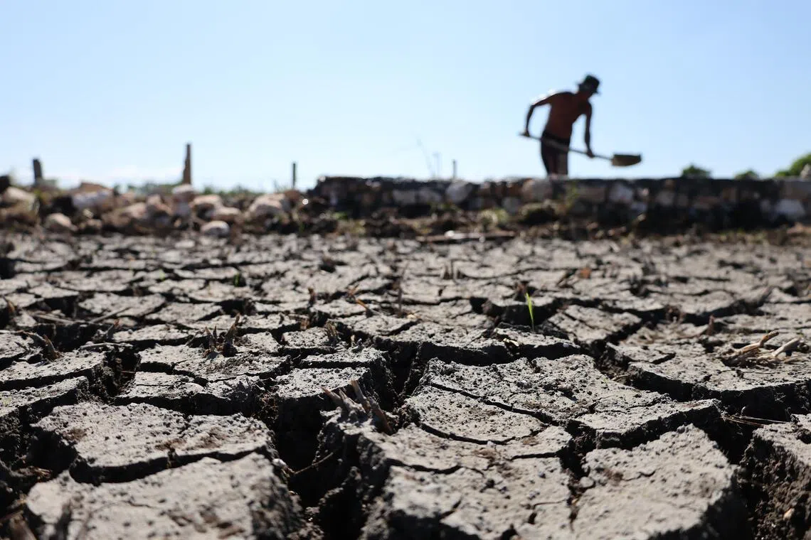 straitstimes.com - David Fogarty - El Nino raises insurance risks for Asia for 2026