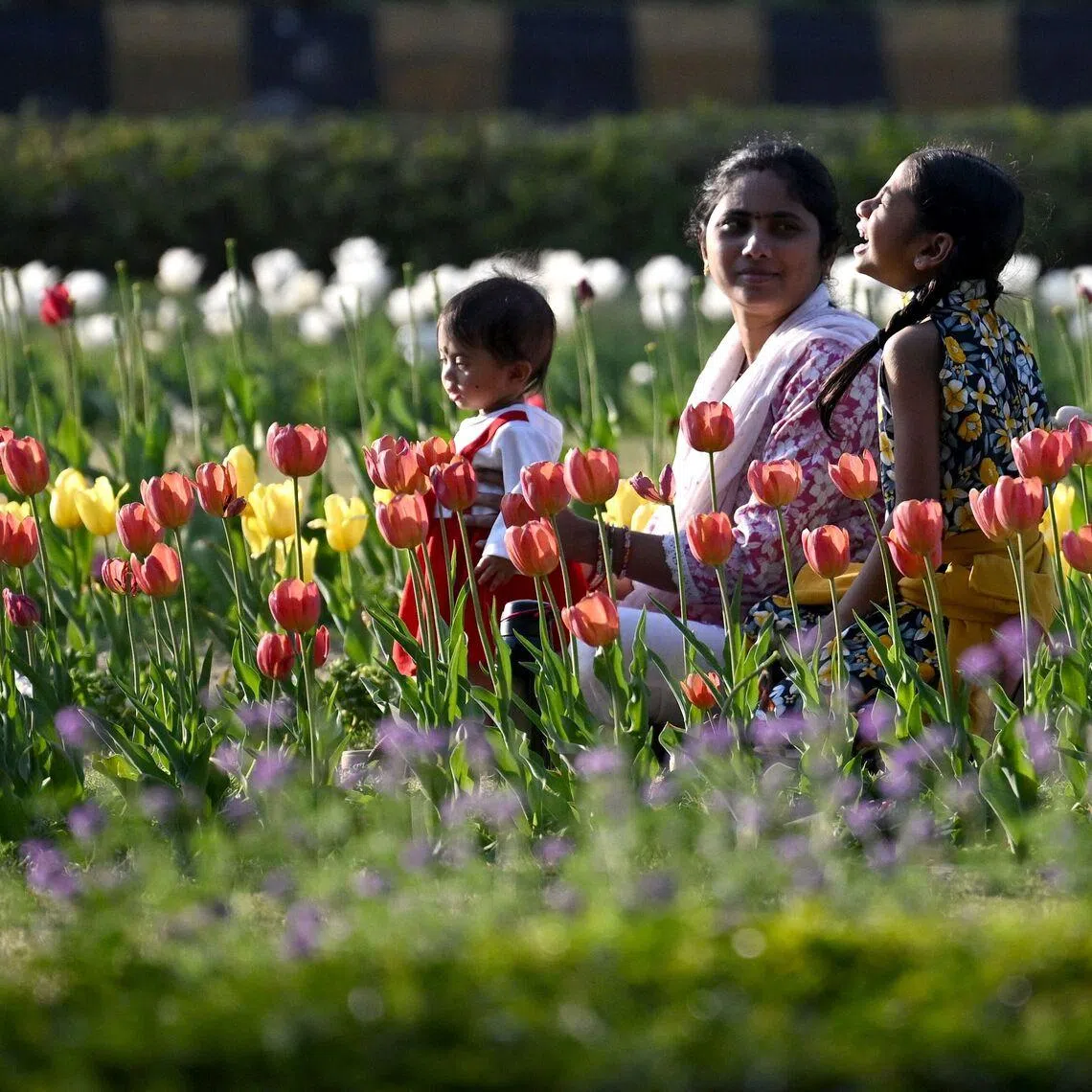 According to projections from India’s official economic survey, Andhra Pradesh’s population will stay at its 2016 level of just over 50 million for the next decades.