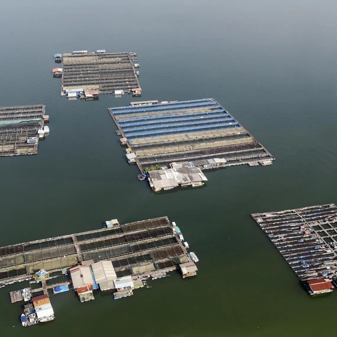 The floating fish farms in the Strait of Johor off the north-western coast of Singapore. 