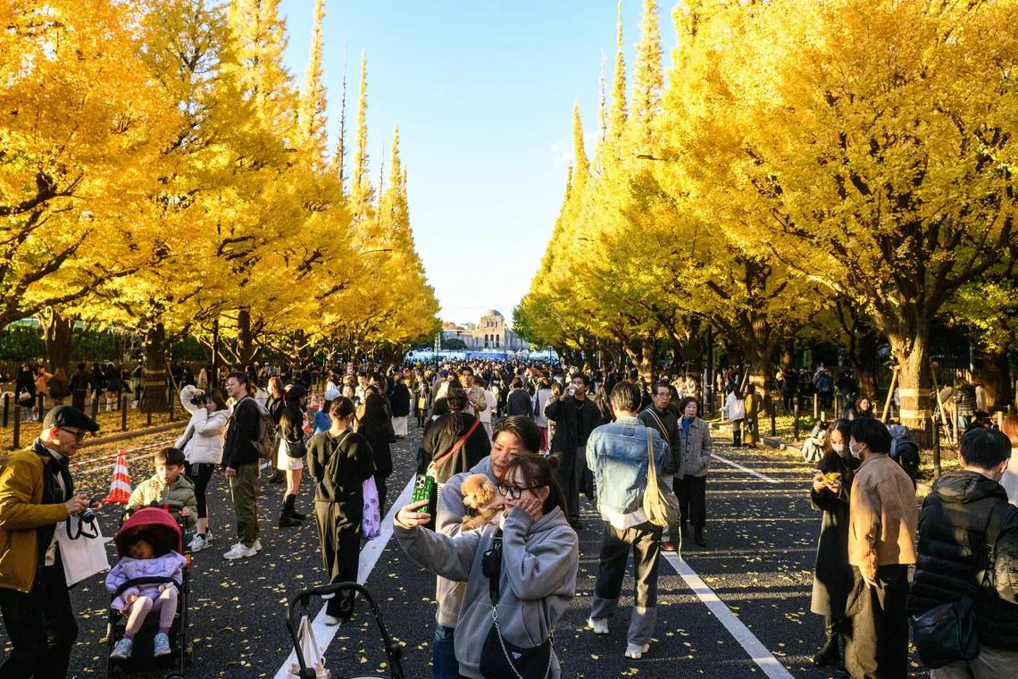 Global warming is causing travellers to face more unpredictability with season attractions.