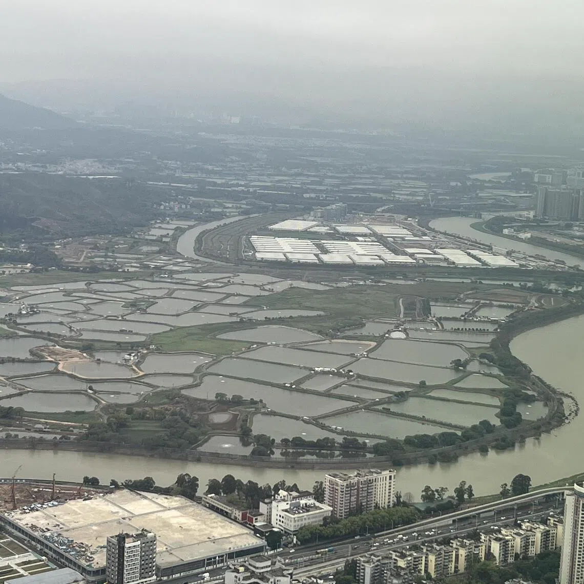 mfopinion - A view of the swathe of farmland set to be affected by redevelopment for the Northern Metropolis mega project along Hong Kong's border with Shenzhen (separated by the river; this pic was taken from SZ side). 

Credit: Magdalene Fung