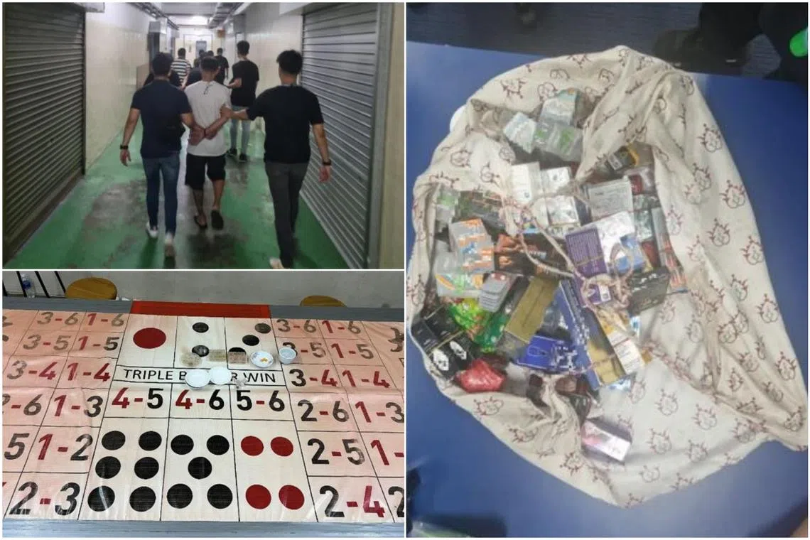 Gambling-related paraphernalia and sexual enhancement products (right) were among items seized in the operation.