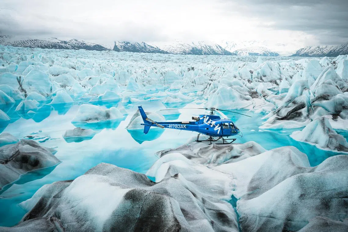 adalaska04




Credit: Alaska Helicopter Tours