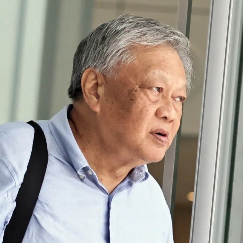 The prosecutor said that text messages showed Leong Sze Hian (left) failed to keep in contact with Lim Tean daily between July 1 and Aug 3.