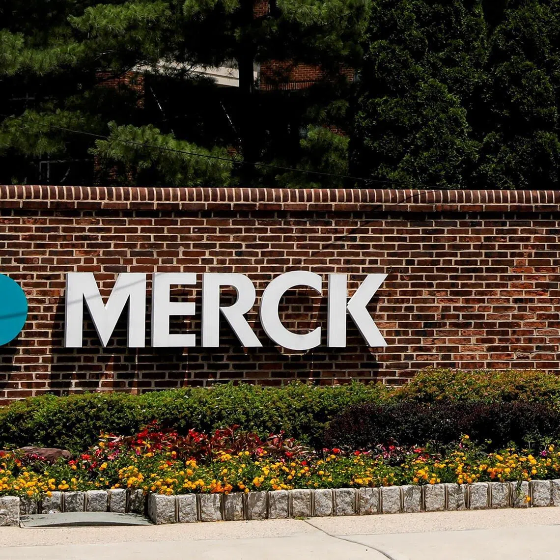 The drug, which was developed by Merck and will be sold under the brand name Lipfendra, is expected to go on the market in the coming weeks.