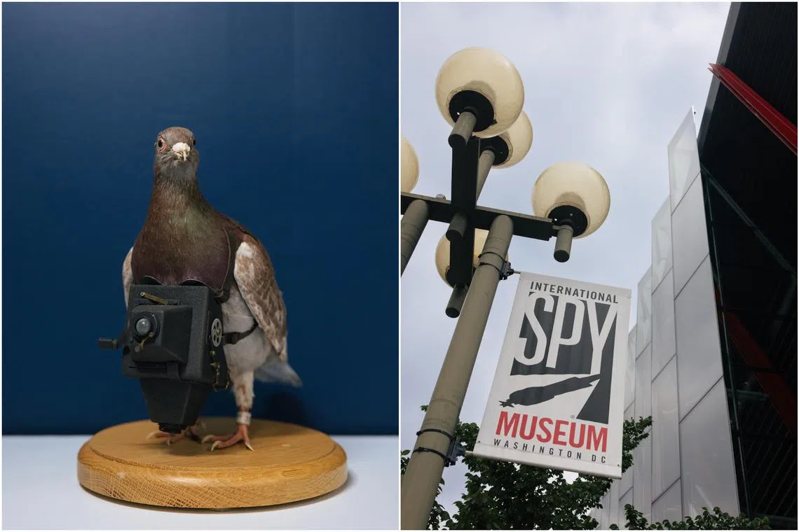 The museum, which opened in the Penn Quarter neighbourhood of Washington in 2002, moved to a bigger space in L'Enfant Plaza in 2019. 