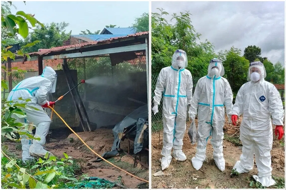 Officials from Cambodia's Siem Reap livestock health office disinfect chicken coops at the site of an H5N1 outbreak in Siem Reap province.
