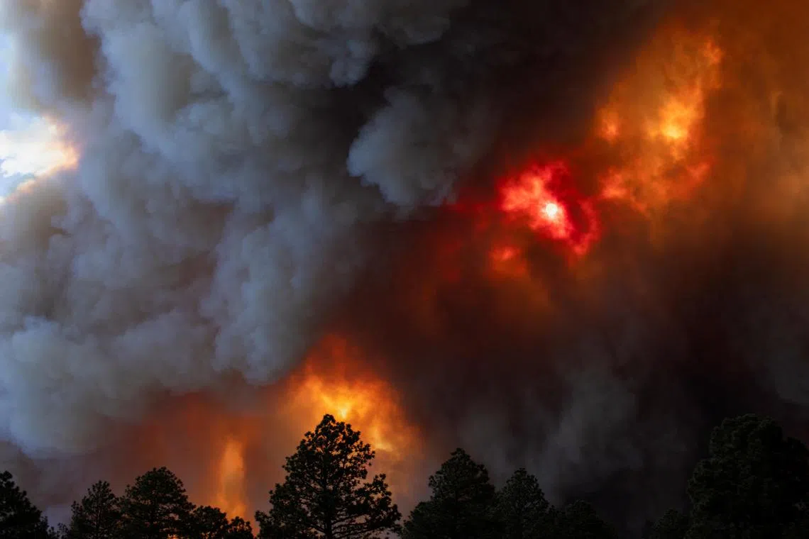 Smoke plumes from the South Fork Fire rise above the tree line as the fire progresses from the Mescalero Apache Indian Reservation to the Lincoln National Forest causing mandatory evacuations in Ruidoso, New Mexico, U.S. June 17, 2024.  REUTERS/Kaylee Greenlee Beal
