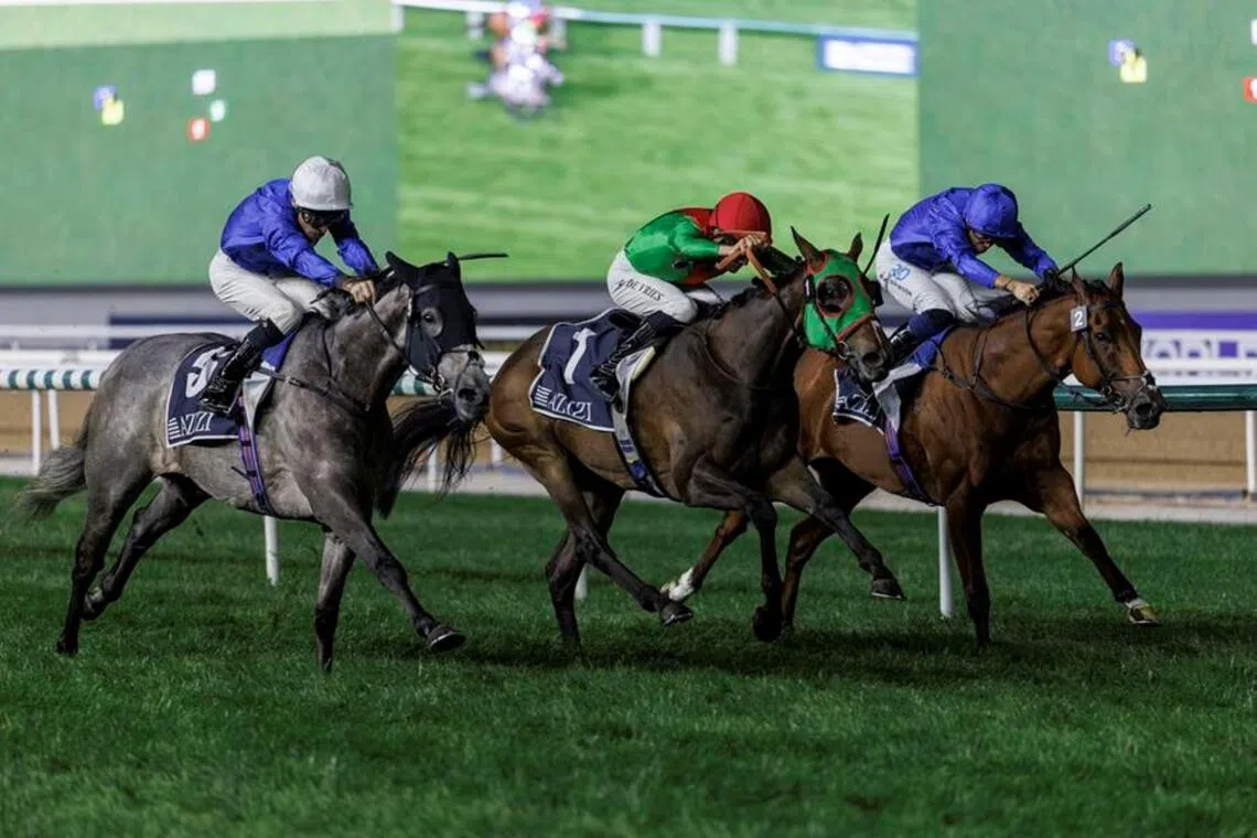 Godolphin nets 6th Cape Verdi with Dubai Beach