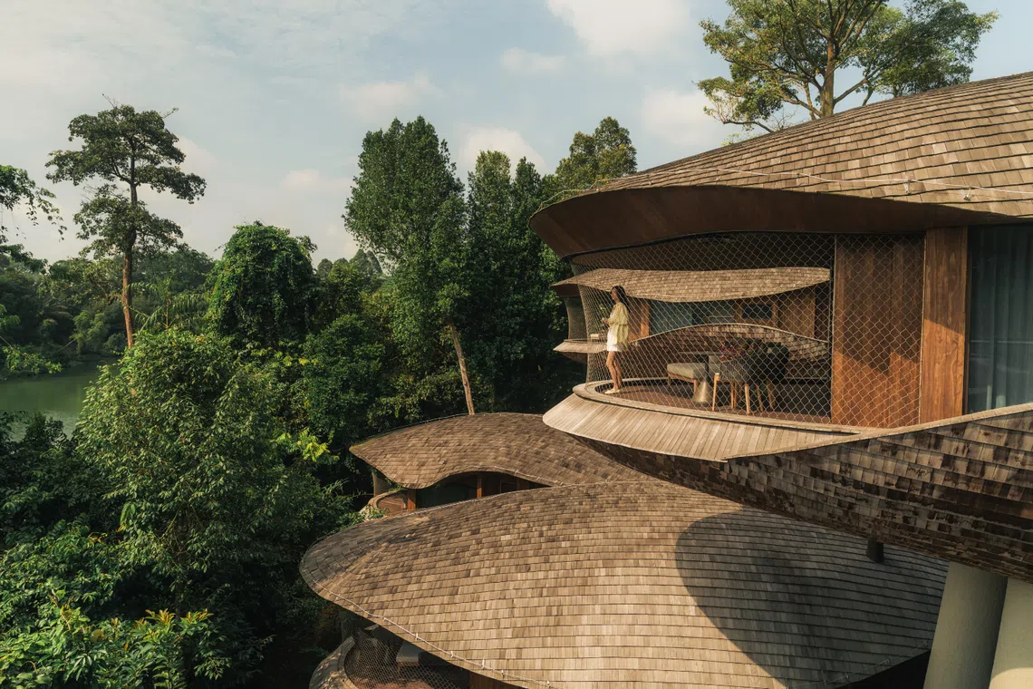 mandai wildlife reserve mandai rainforest resort by banyan tree treehouse