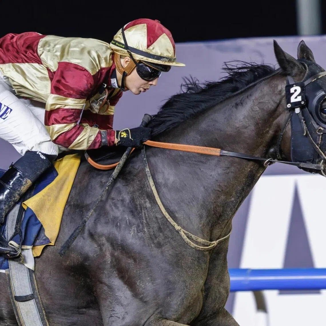 he Jamie Osborne-trained Heart Of Honor getting an early taste of success at the 2025 Dubai Racing Carnival when victorious in the Nakheel Stakes (1,600m) at Meydan on Nov 21. He was ridden by Osborne's daughter Saffie.
