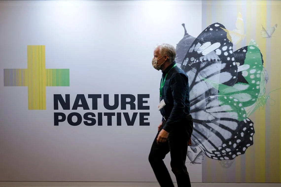 Countries are attempting to reach a new global deal on protecting nature through 2030, guided by 23 targets.