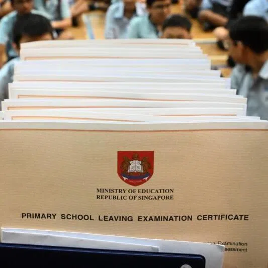 Several key tentative dates are included, for example for the Direct School Admission exercise, the school selection exercise and the release of the school posting results. 