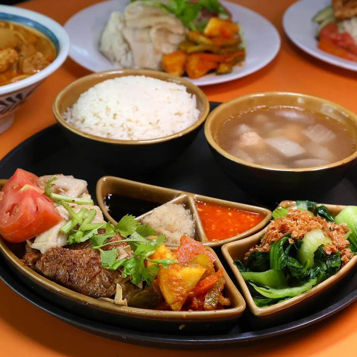 33 Vegetarian Food specialises in vegetarian chicken rice.