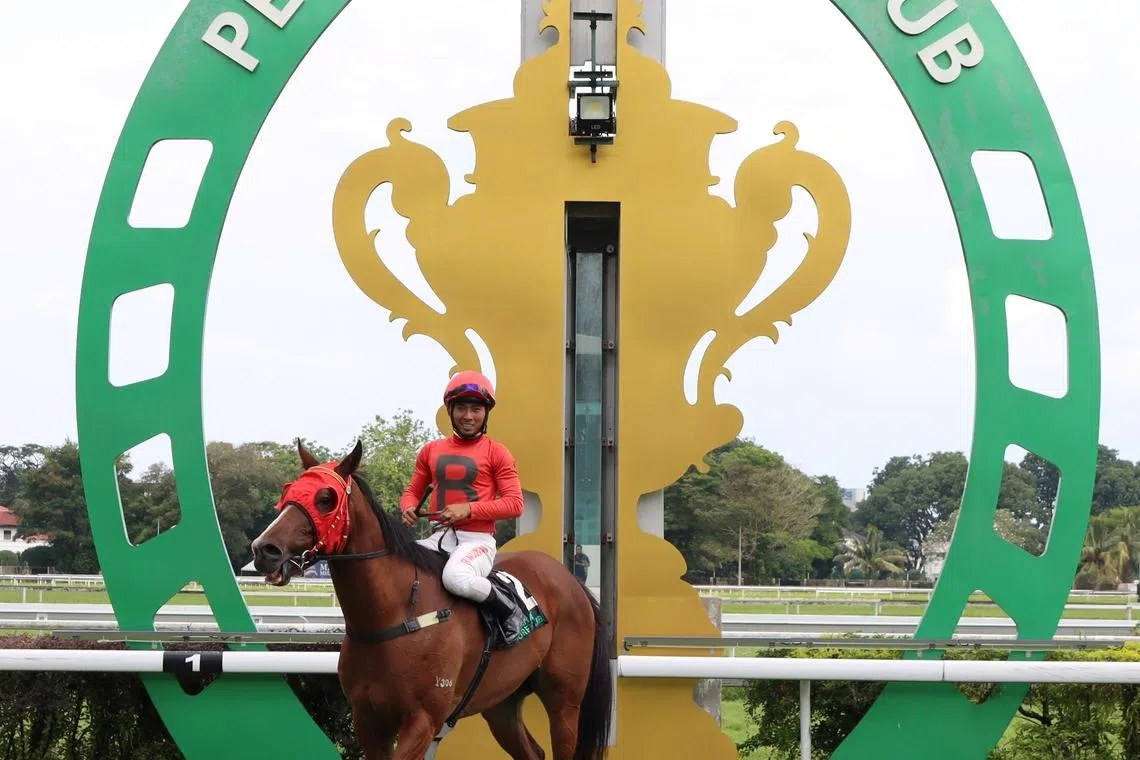 Banker’s First (Nuqman Rozi) returning to scale after he won the Perak Turf Club Community Shield (1,200m) in Ipoh on May 31.