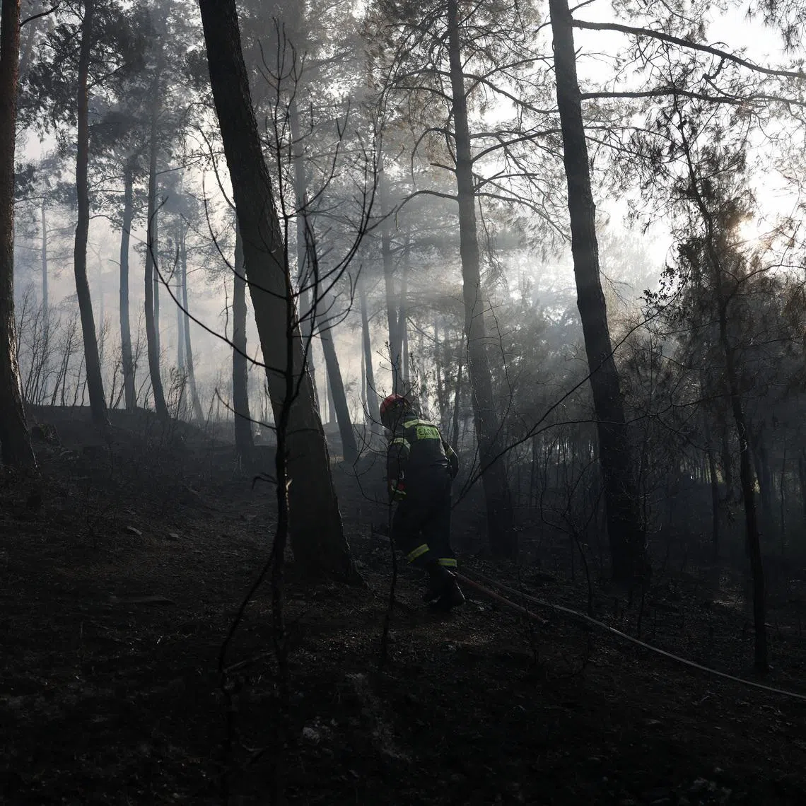 A firefighter trying to extinguish a wildfire near the village of Liti, Thessaloniki, Greece, on June 30.
