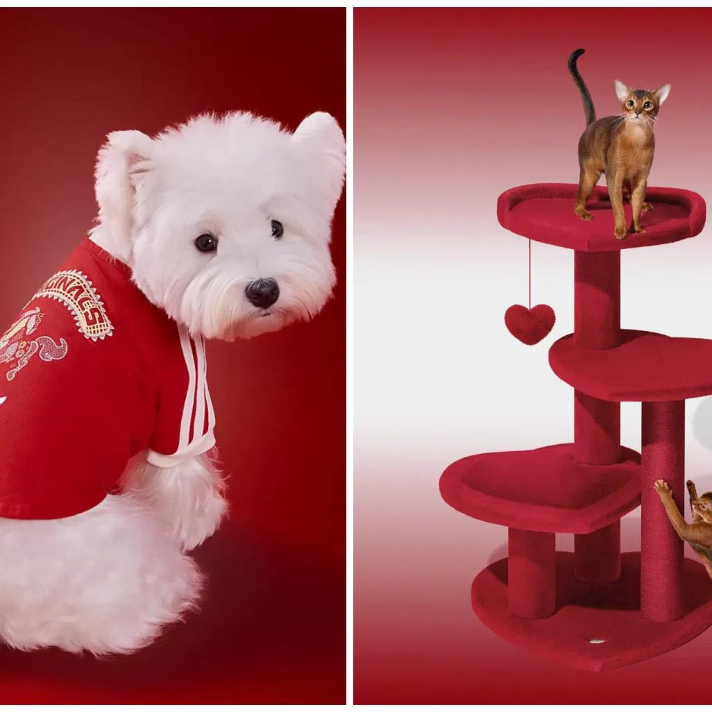 The Adidas Originals Pet Tee (left) and the Heartpurrouge Cat Climber.