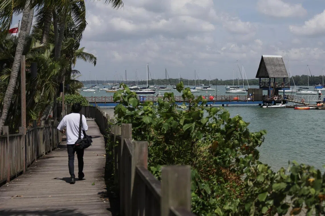 Changi Sailing Club's jetty (background) and a coastal boardwalk (left) in Changi, the subject of the National Heritage Board's 24th heritage trail.