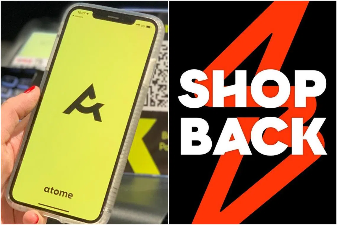 Providers, which will have to be re-accredited every three years, get a trustmark and a listing in a BNPL registry if they meet the requirements.