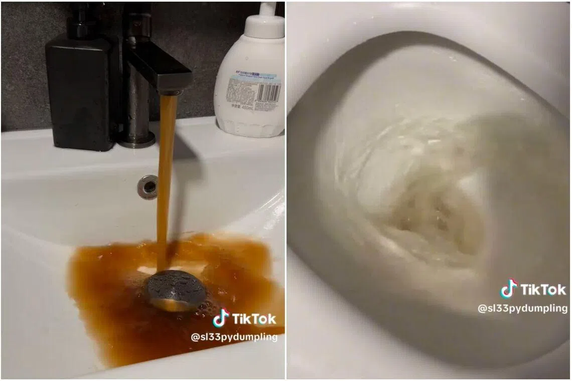 PUB investigating after some Bedok Reservoir residents notice brown water running from taps