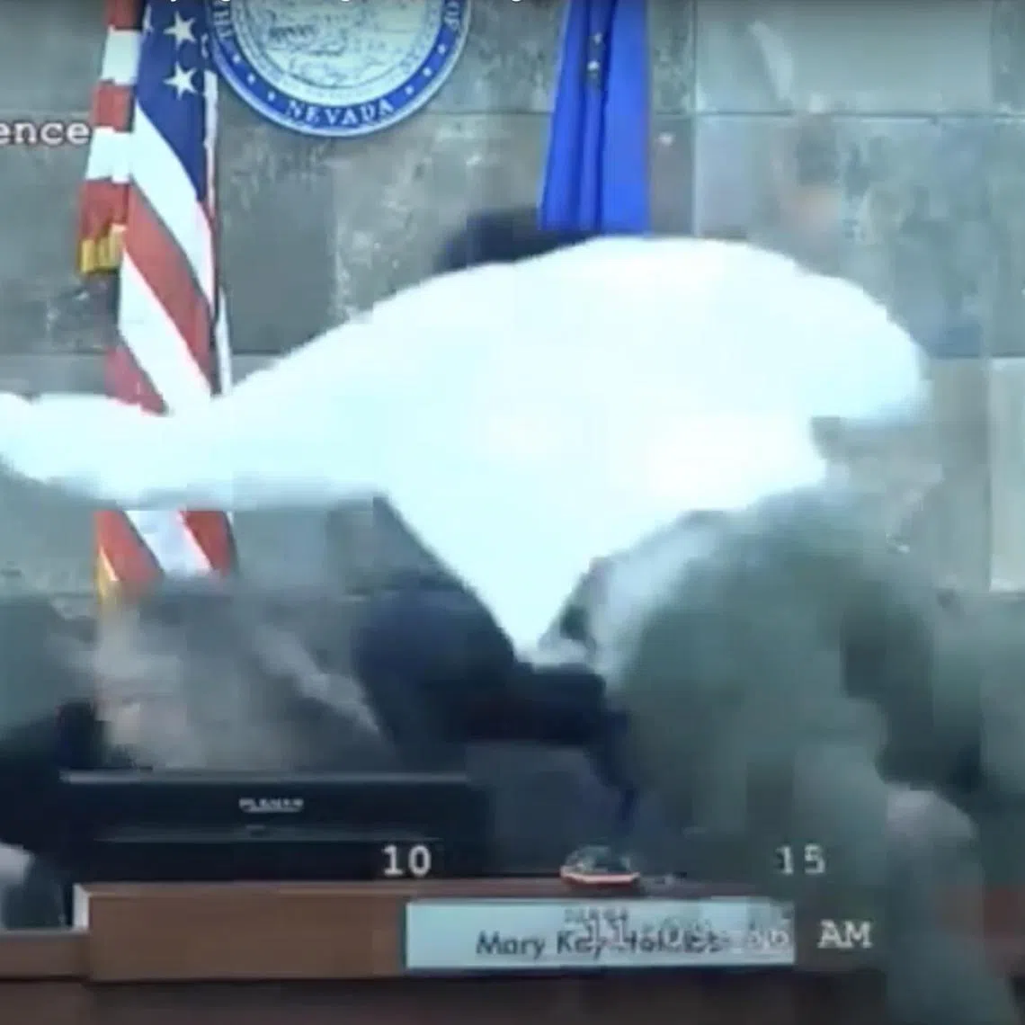 Deobra Redden launches himself at Judge Mary Kay Holthus during his sentencing hearing for attempted battery.