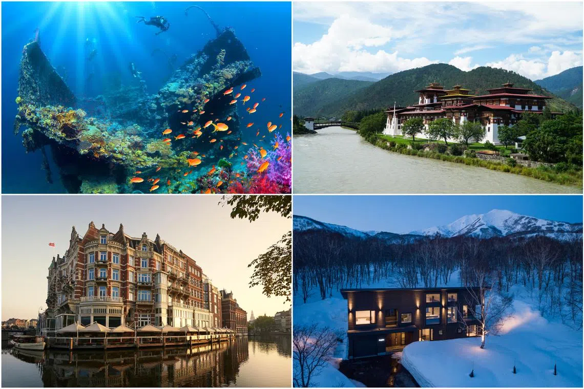 Off-season travel is a growing trend, and travellers are also planning and booking earlier.  