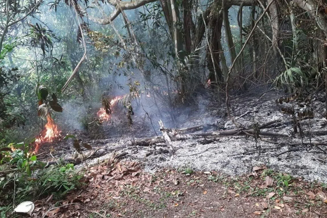 The National Environment Agency said the fires at Bukit Batok cemeteries were likely started by unattended joss stick or joss paper burning.