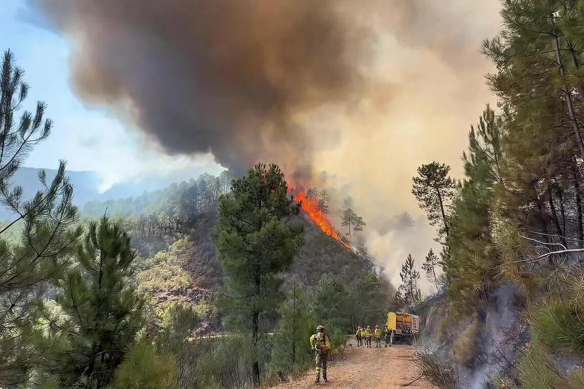 An Aug 19 video still shows firefighters tackling a wildfire near El Cerezal, in Spain’s western region of Extremadura.
