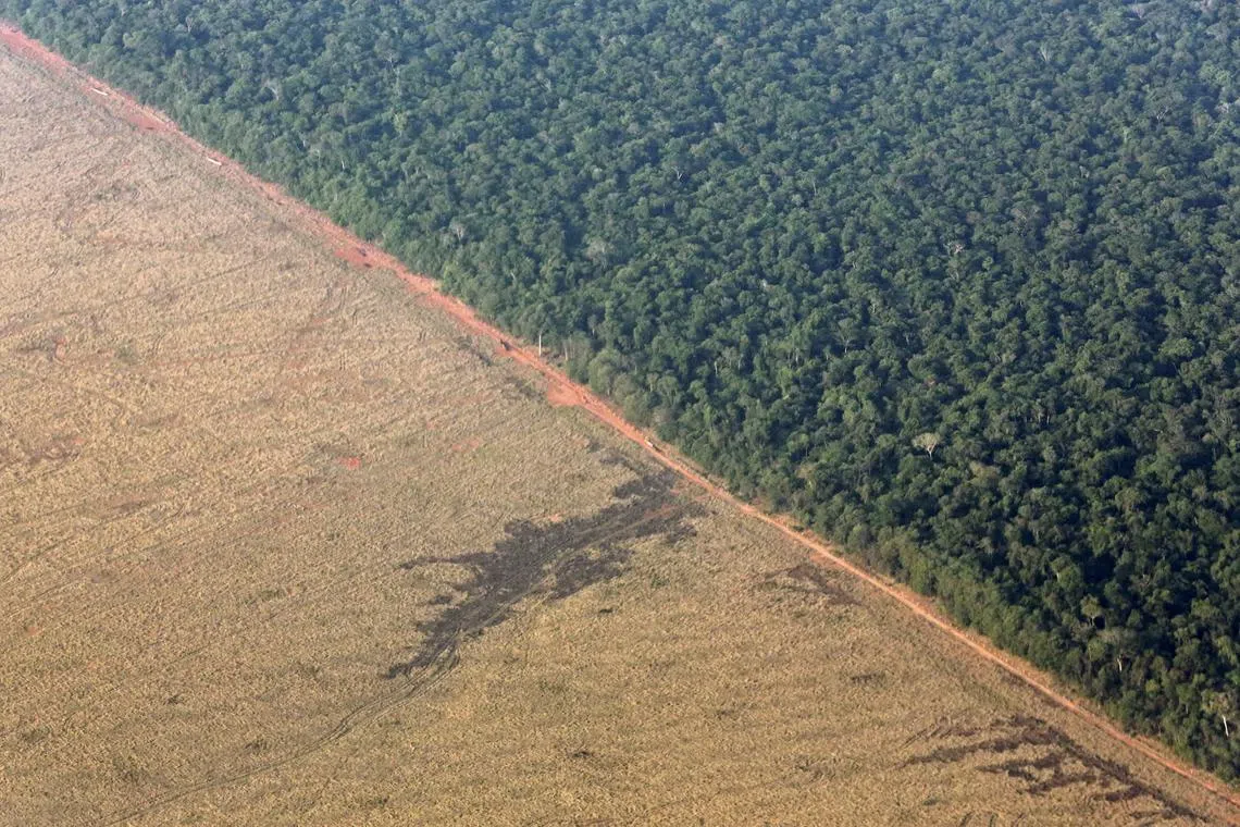FILE PHOTO: An aerial view shows an area of land cleared for the preparation of pasture which borders with the Amazon rainforest in Mato Grosso state, western Brazil, October 4, 2015. REUTERS/Paulo Whitaker/File Photo