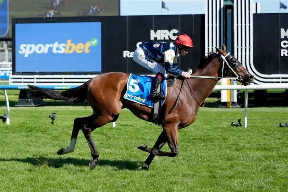 The Chris Waller-trained Birdman (Ben Melham) scoring a relatively easy win in the Group 2 Peter Young Stakes (1,800m) at Caulfield on March 14.