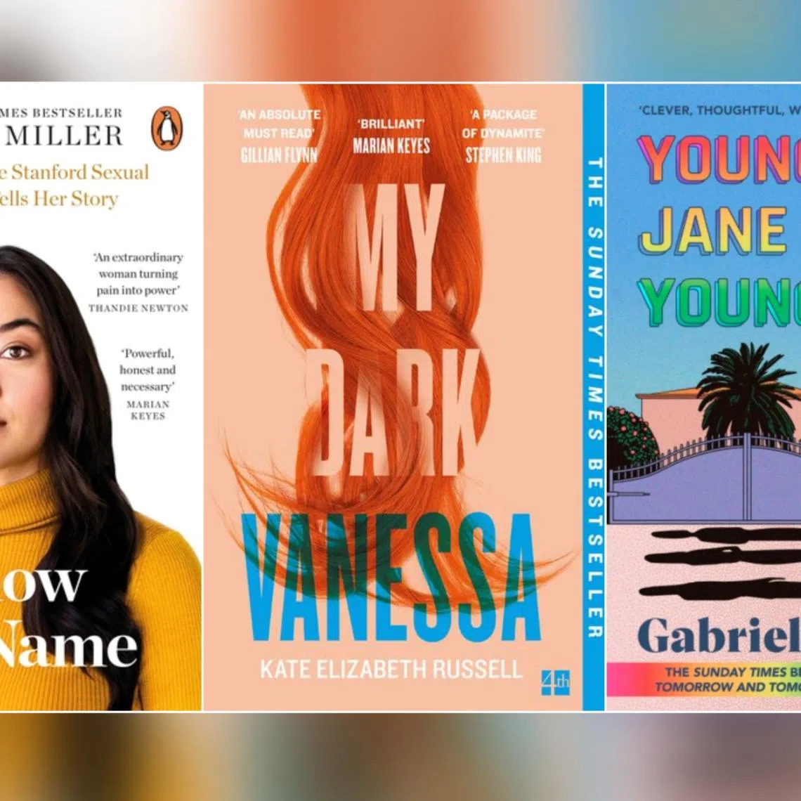 Know My Name (2019) by Channel Miller, My Dark Vanessa (2020) by Kate Elizabeth Russell, and Young Jane Young (2017) by Gabrielle Zevin.