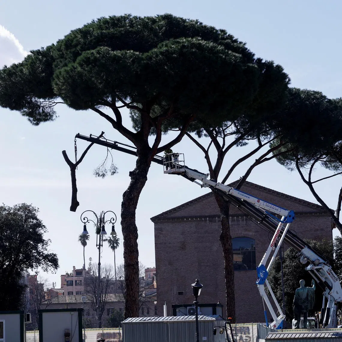 Workers cut down ageing pine trees, as part of a maintenance operation, along Via dei Fori Imperiali in central Rome, Italy, on Feb 13.
