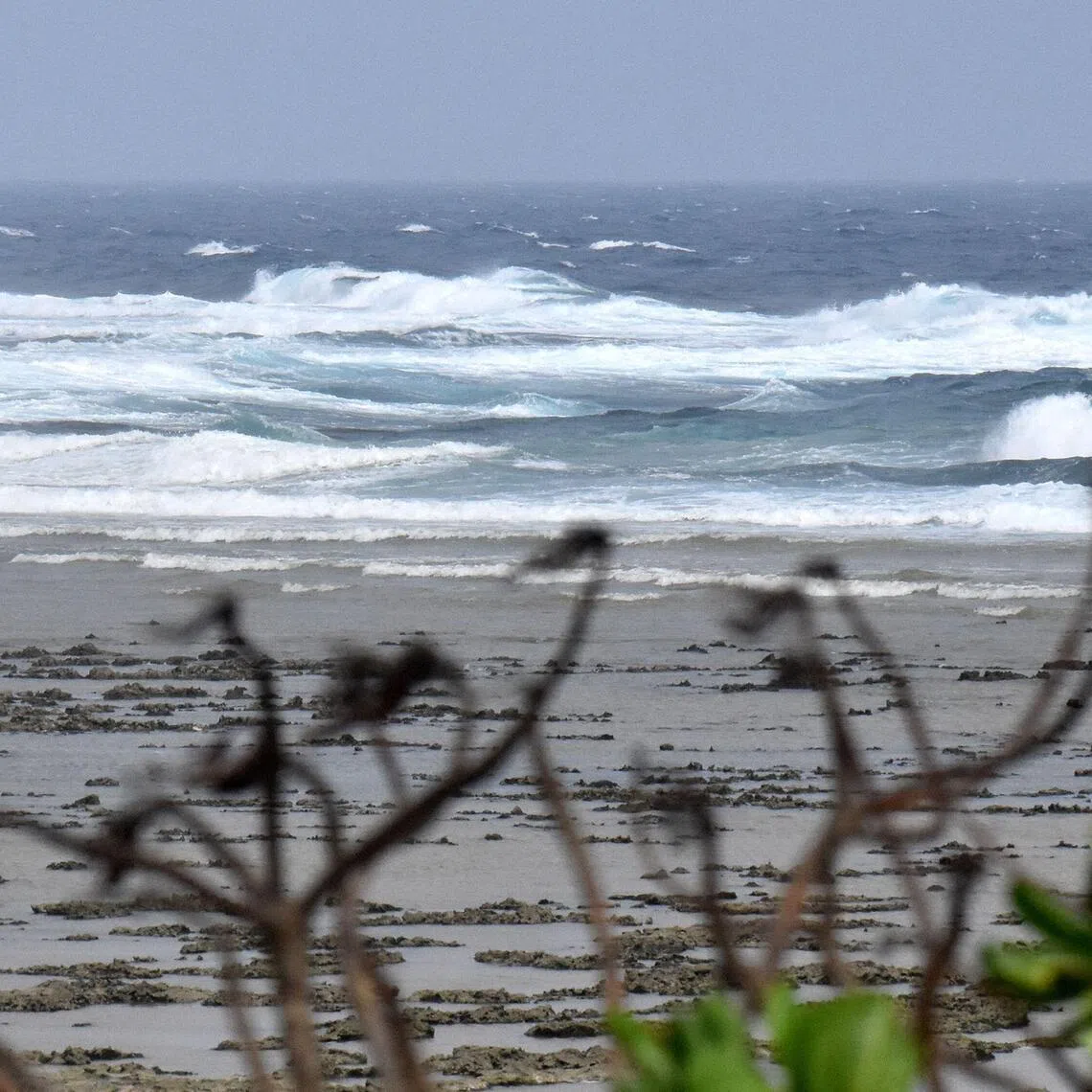 The search began after two students got into difficulty in the sea off Ichikikushikino, Kagoshima, on the afternoon of Aug 28.